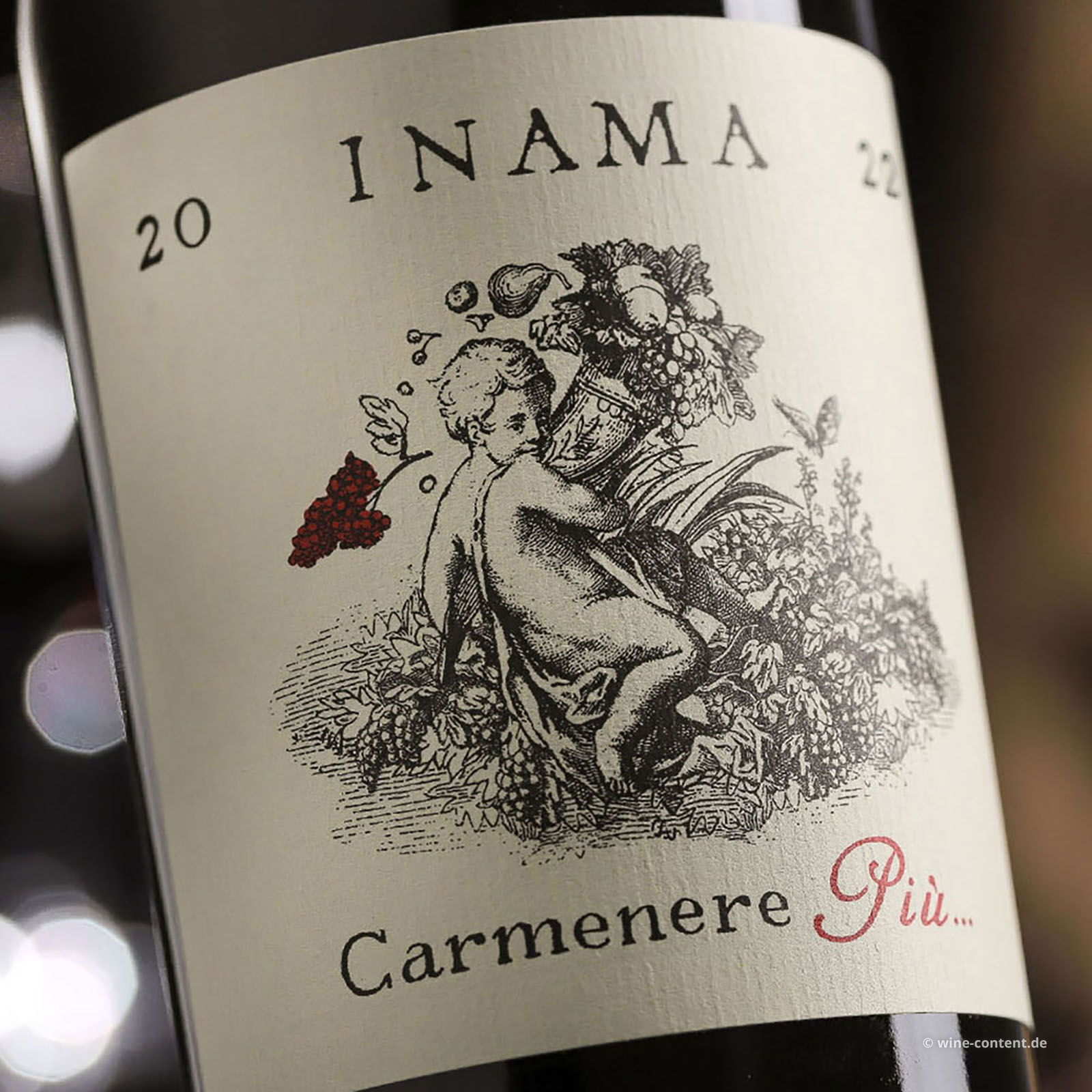 Carmenere Più 2022