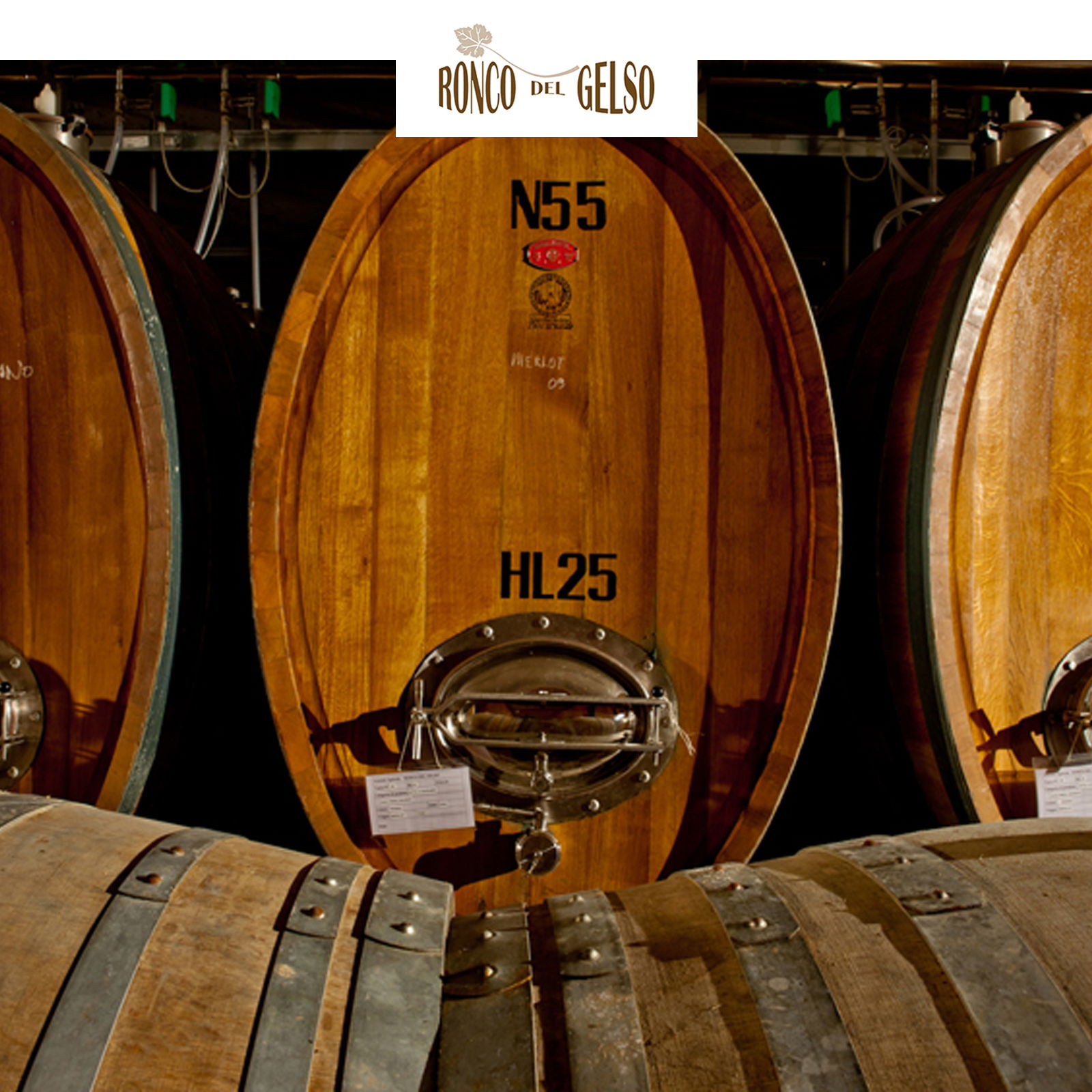 Pinot Grigio 2023 Sot Lis Rivis