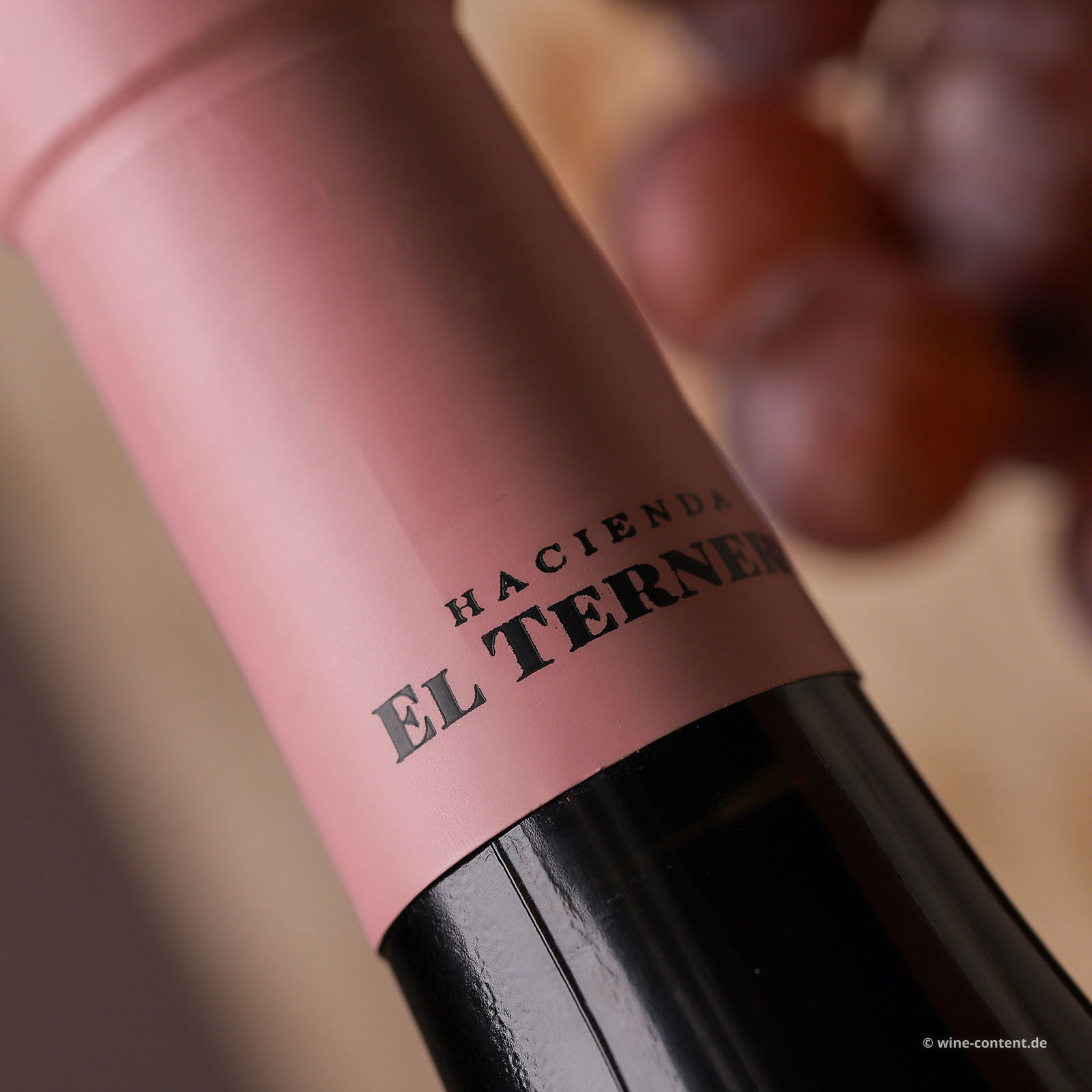 Rioja Crianza 2018 Selección Especial