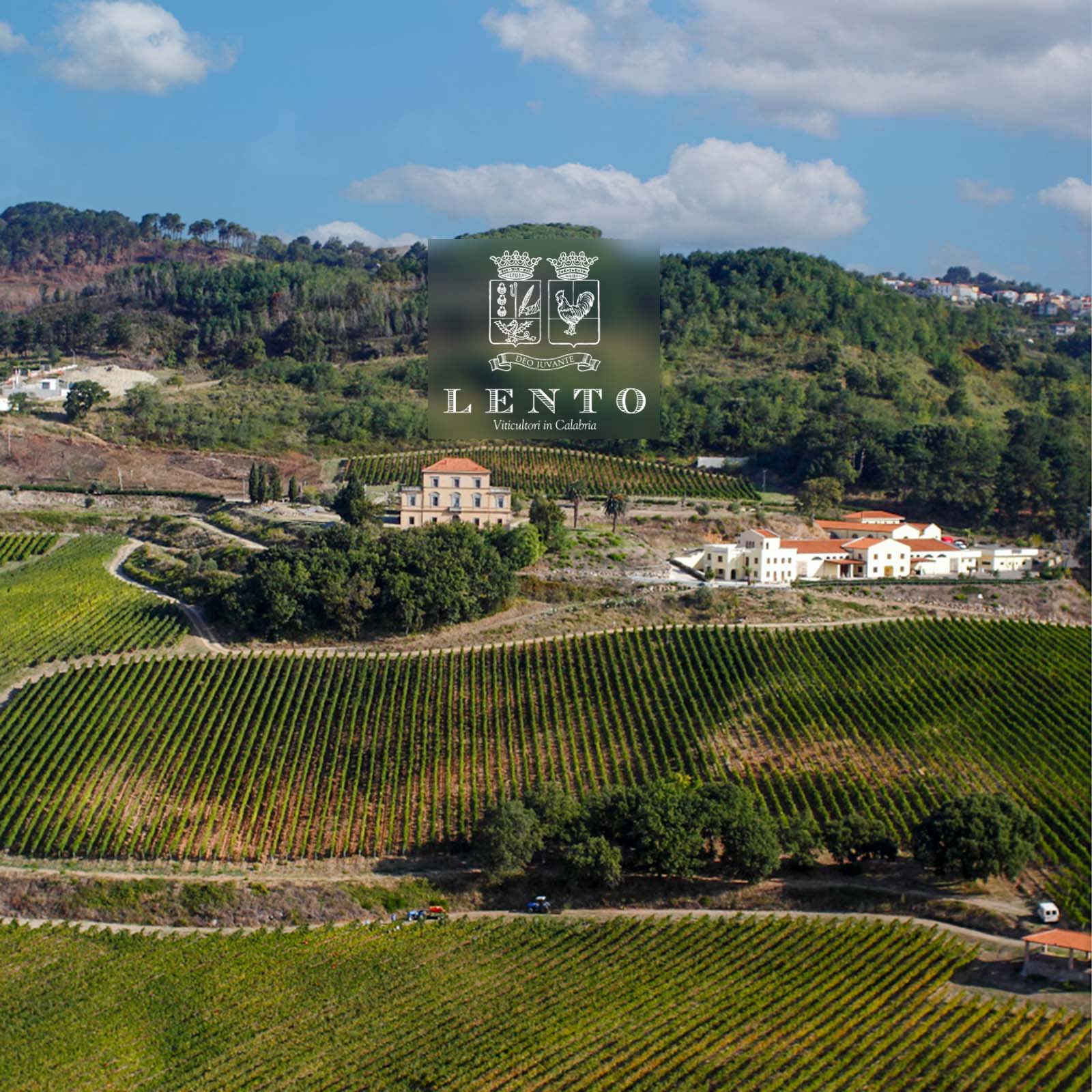 Calabria Rosso 2020 Dragone Selezione