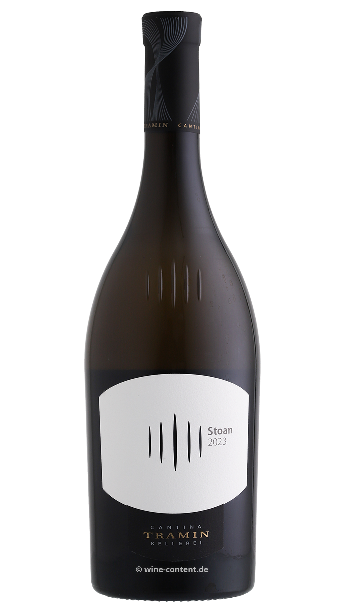 Stoan 2023