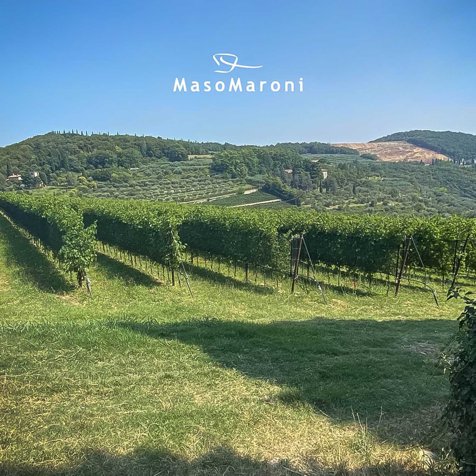 Amarone 2021 Maso Maroni