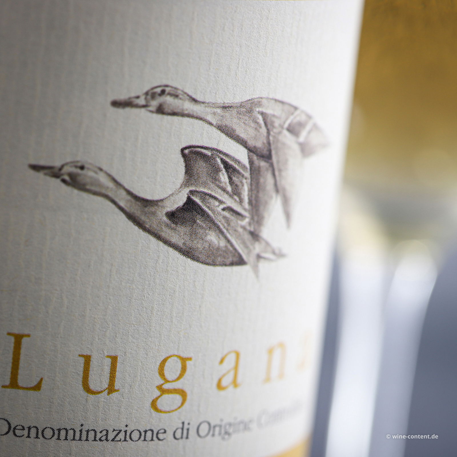 Lugana 2024 Don Lorenzo