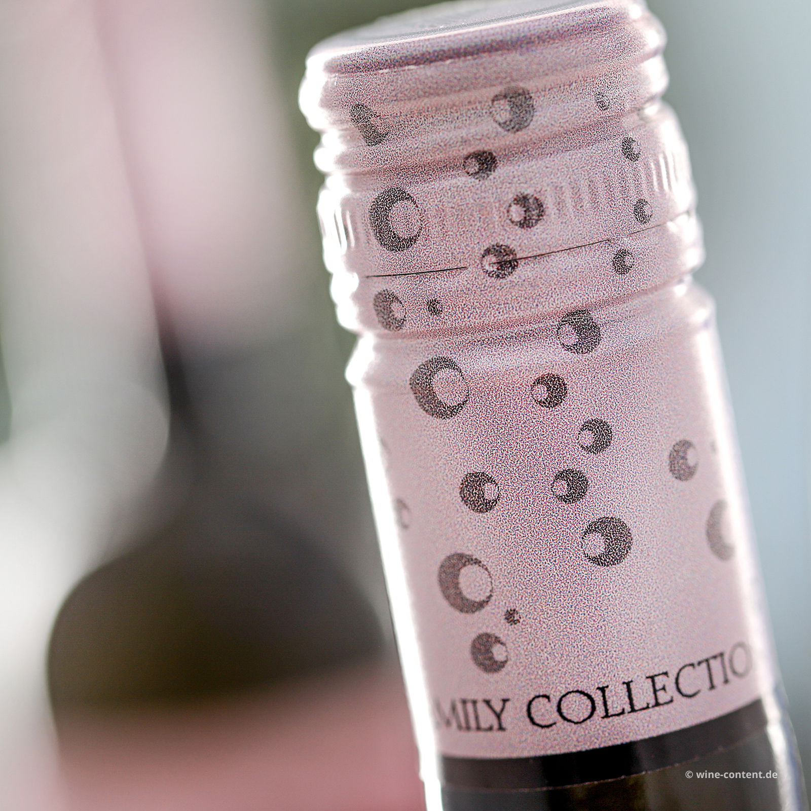 Pinot Grigio delle Venezie 2024