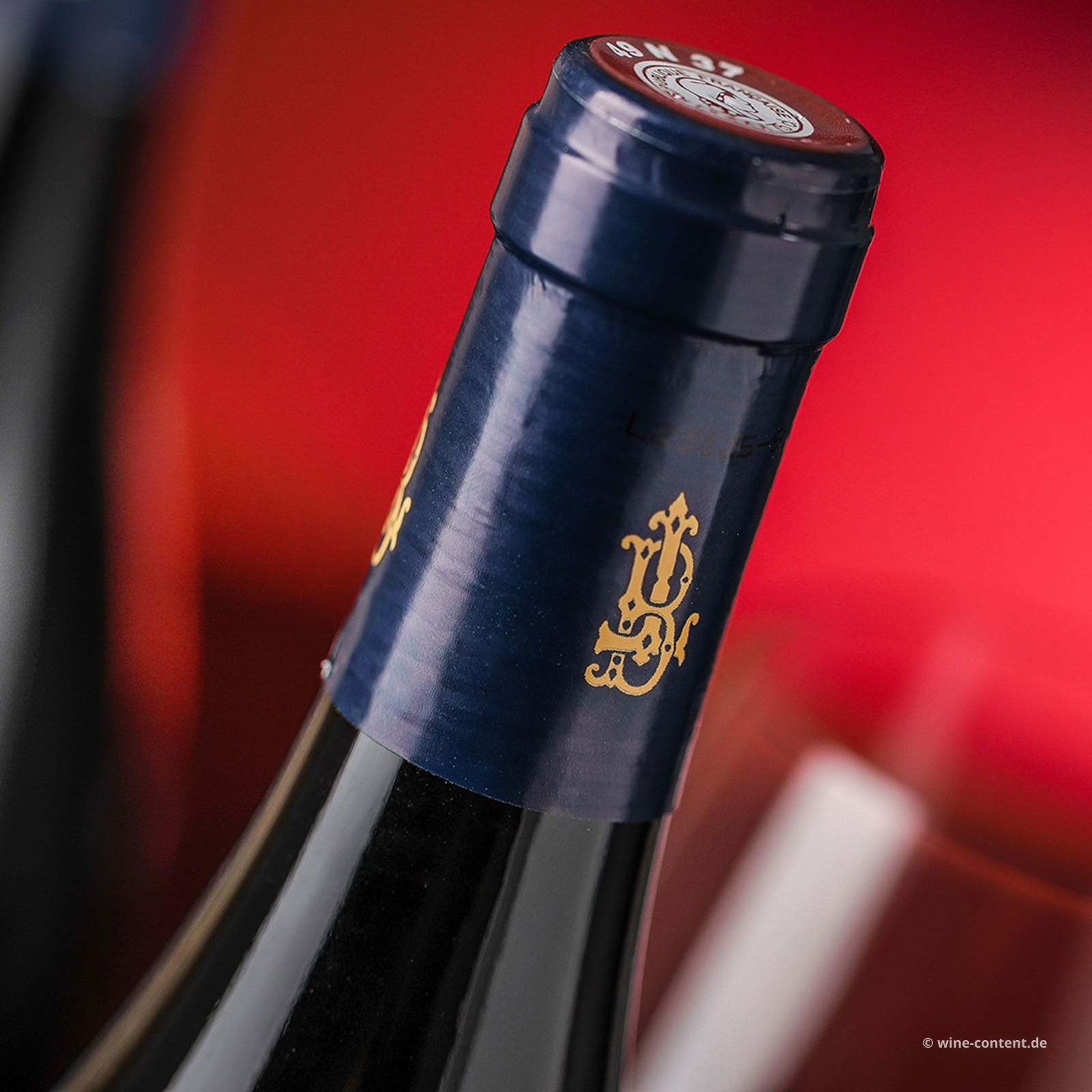 Bourgueil 2022 Jean Carmet Bio