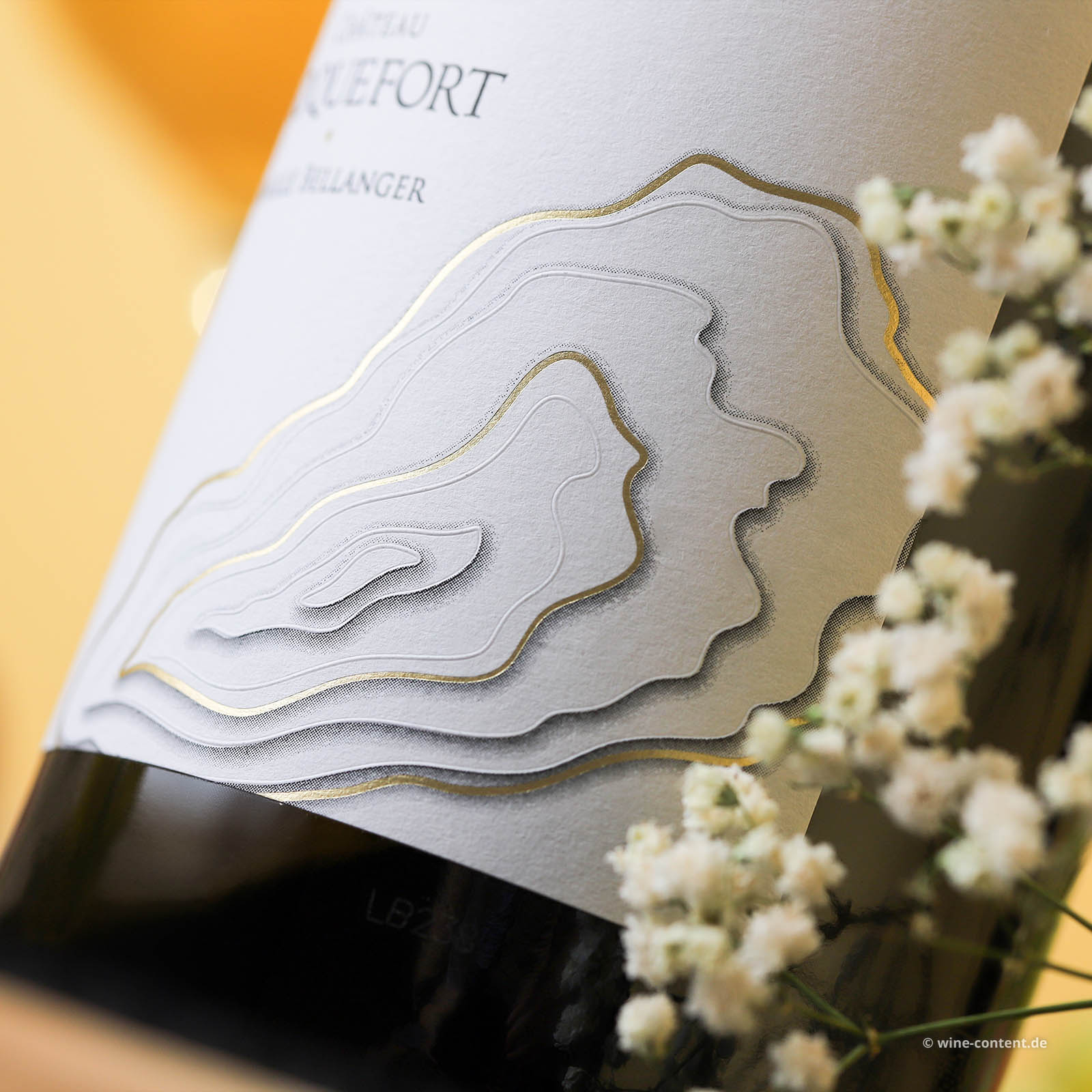 Sauvignon Blanc 2025 Les Roches Blanches Bio