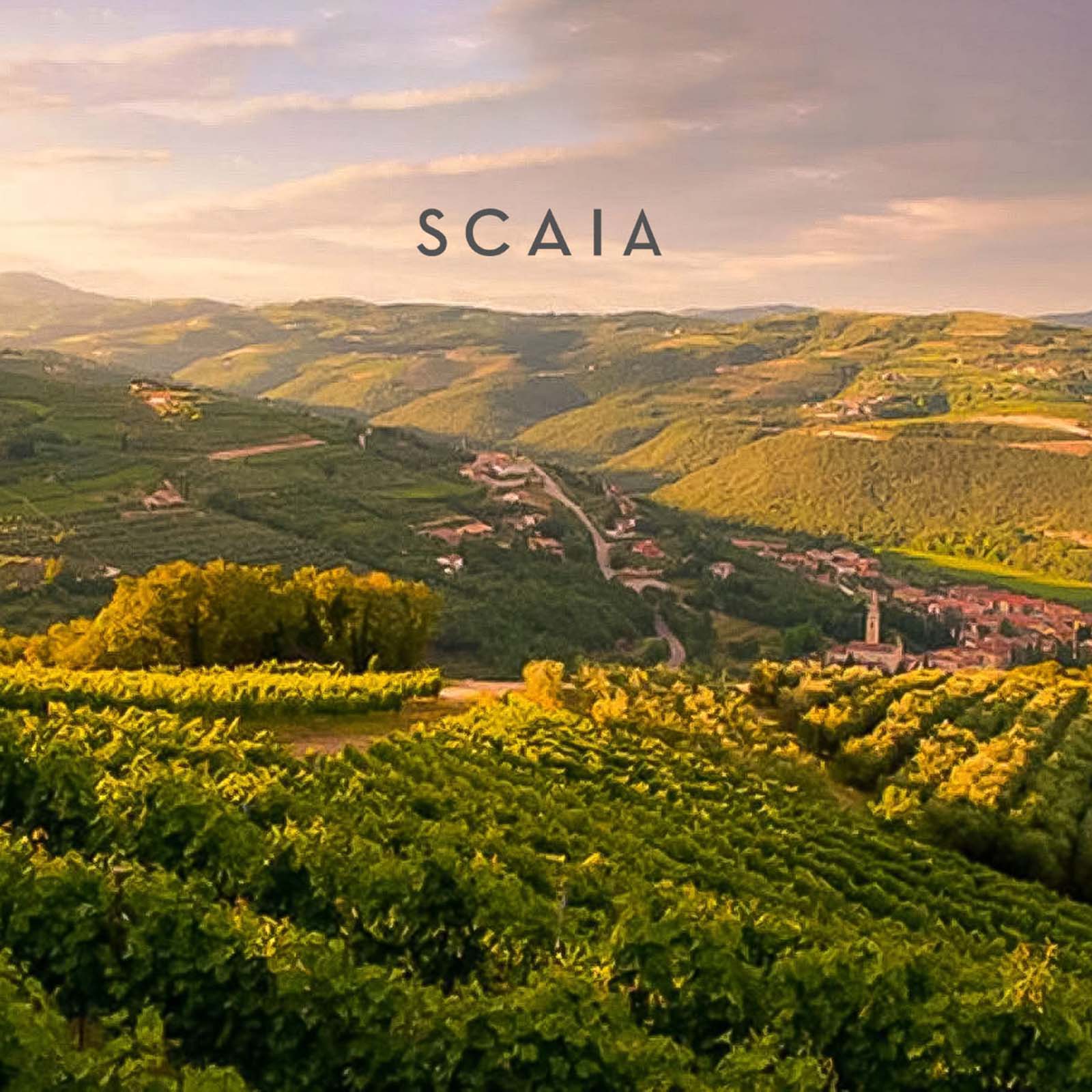 Scaia Bianco 2025