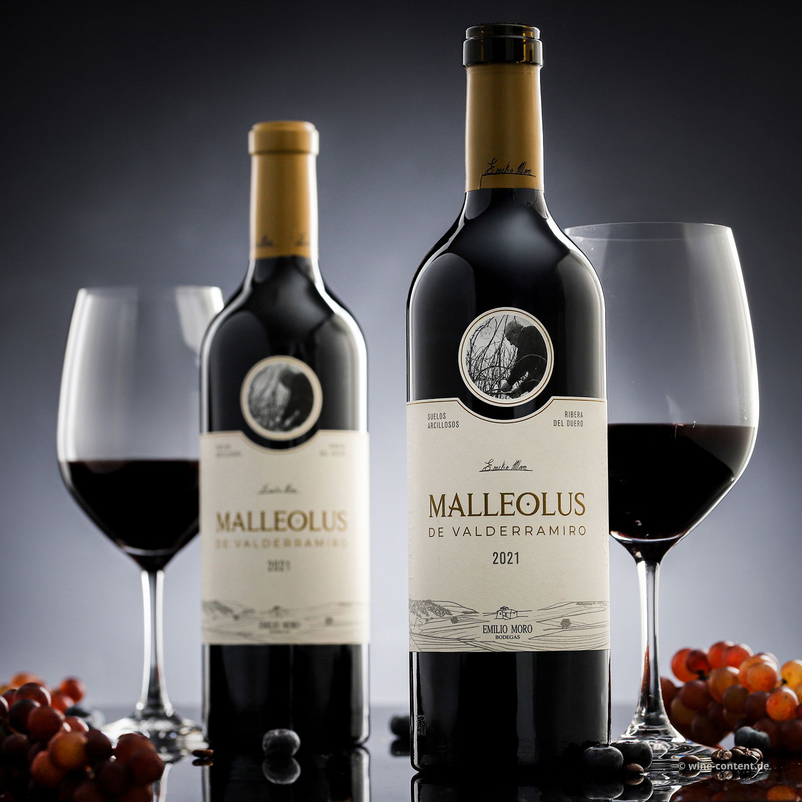 Malleolus de Valderramiro 2021