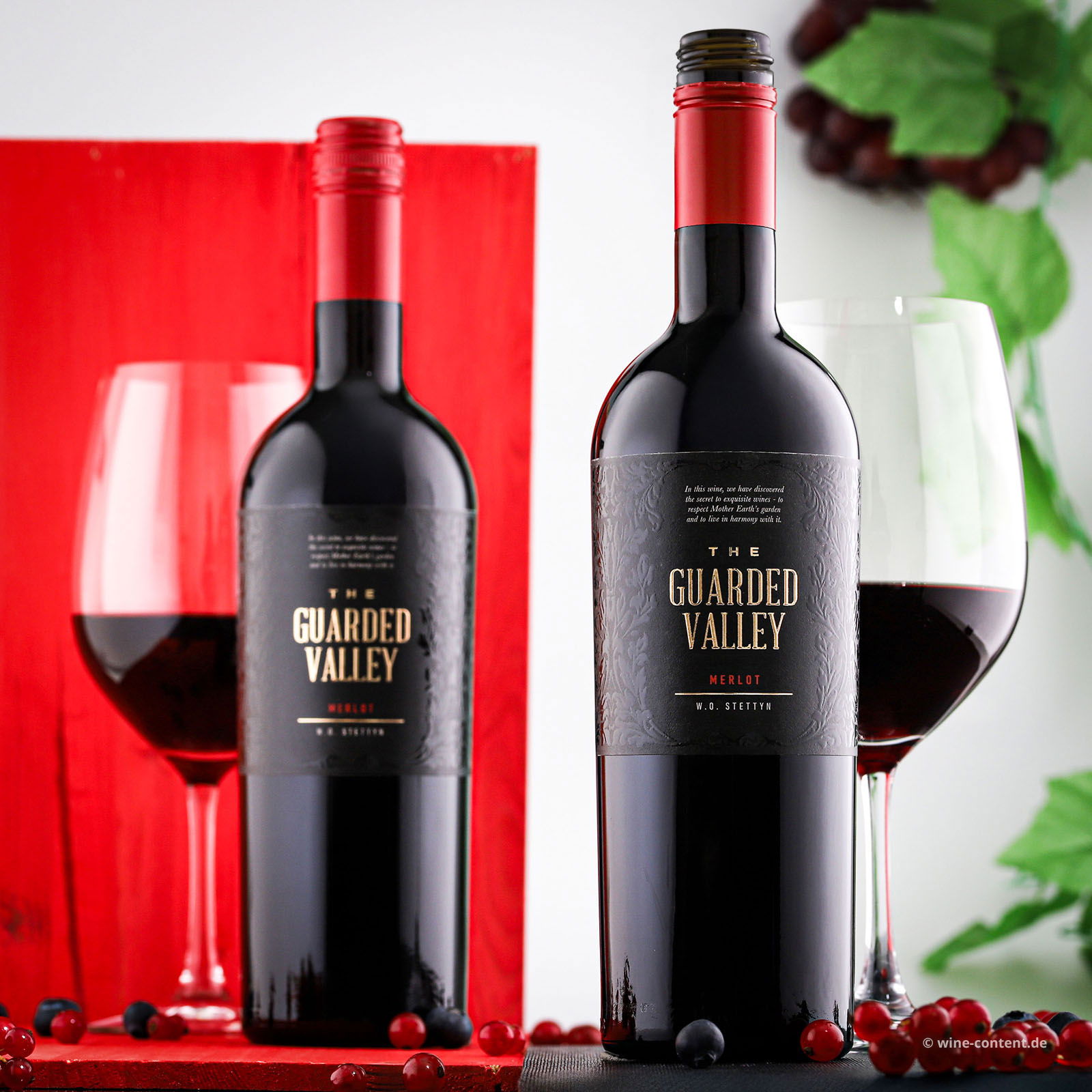 Merlot 2022 The Guarded Valley