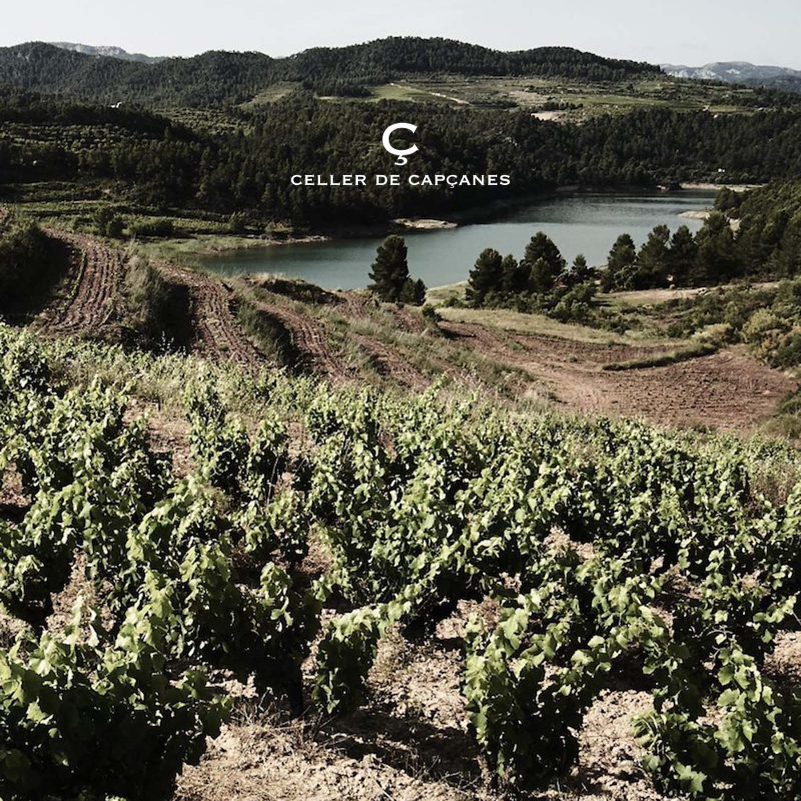 Cava Reserva 2021 Sense Cap Brut Bio