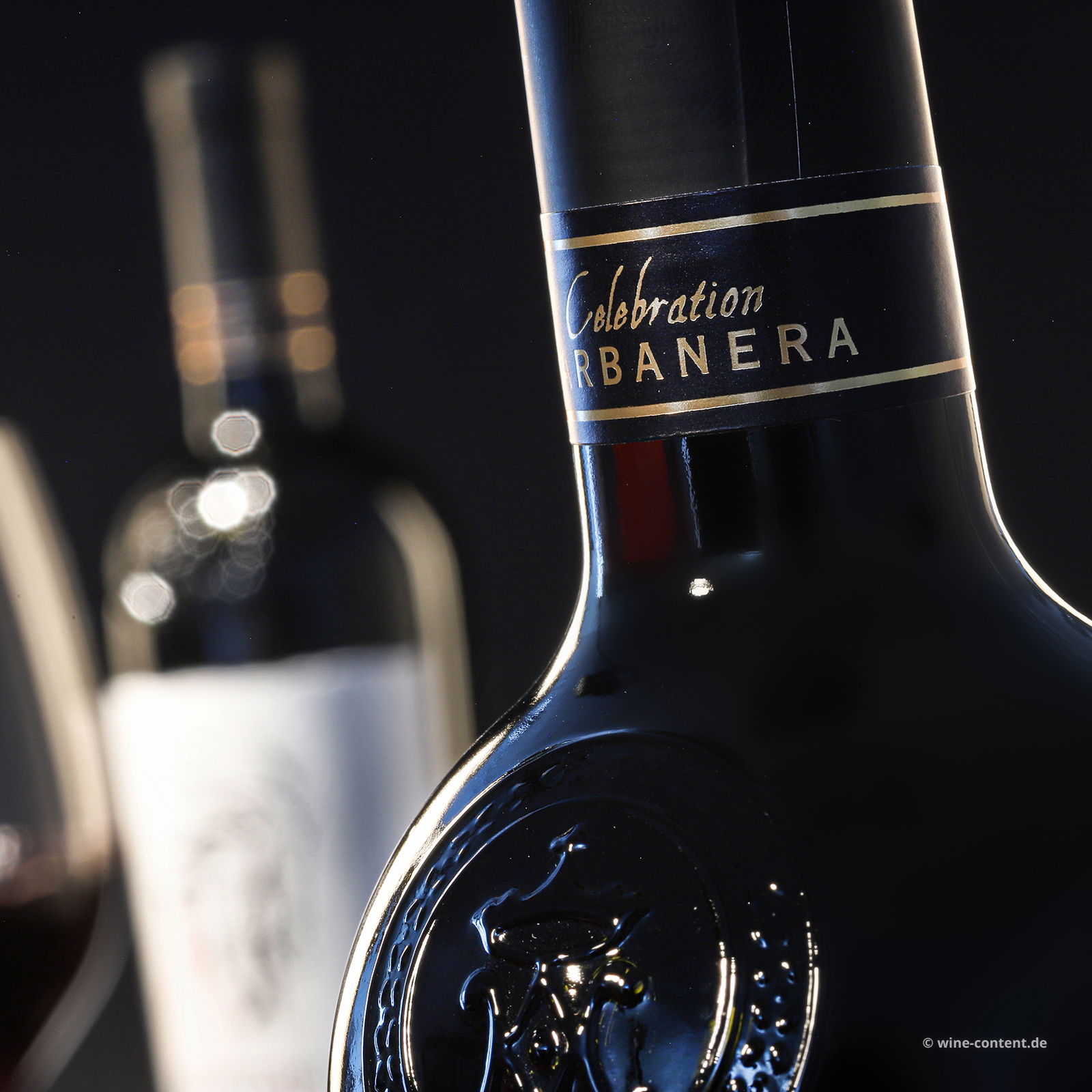 Toscana Rosso 2024 Governo