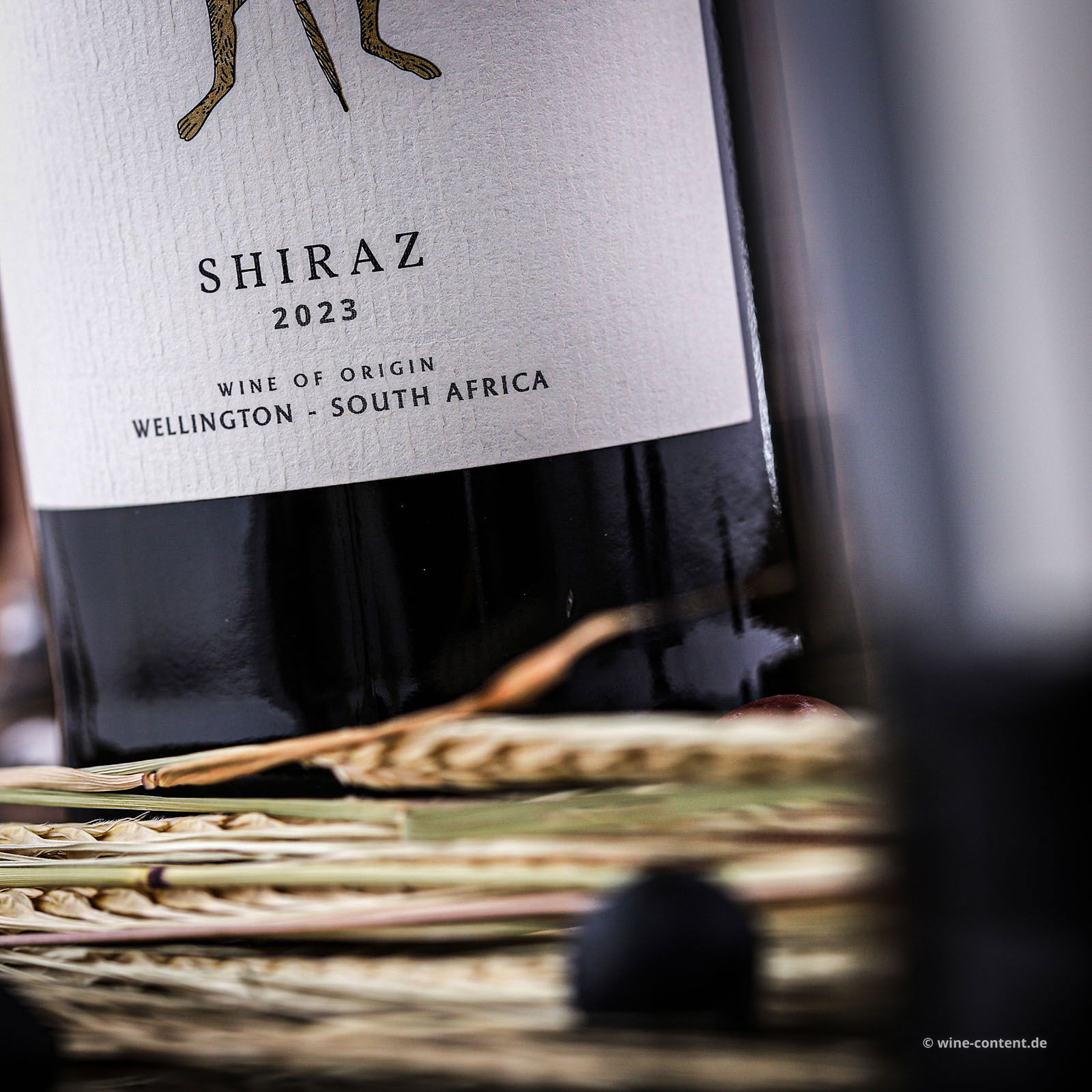 Shiraz 2023 Hasie