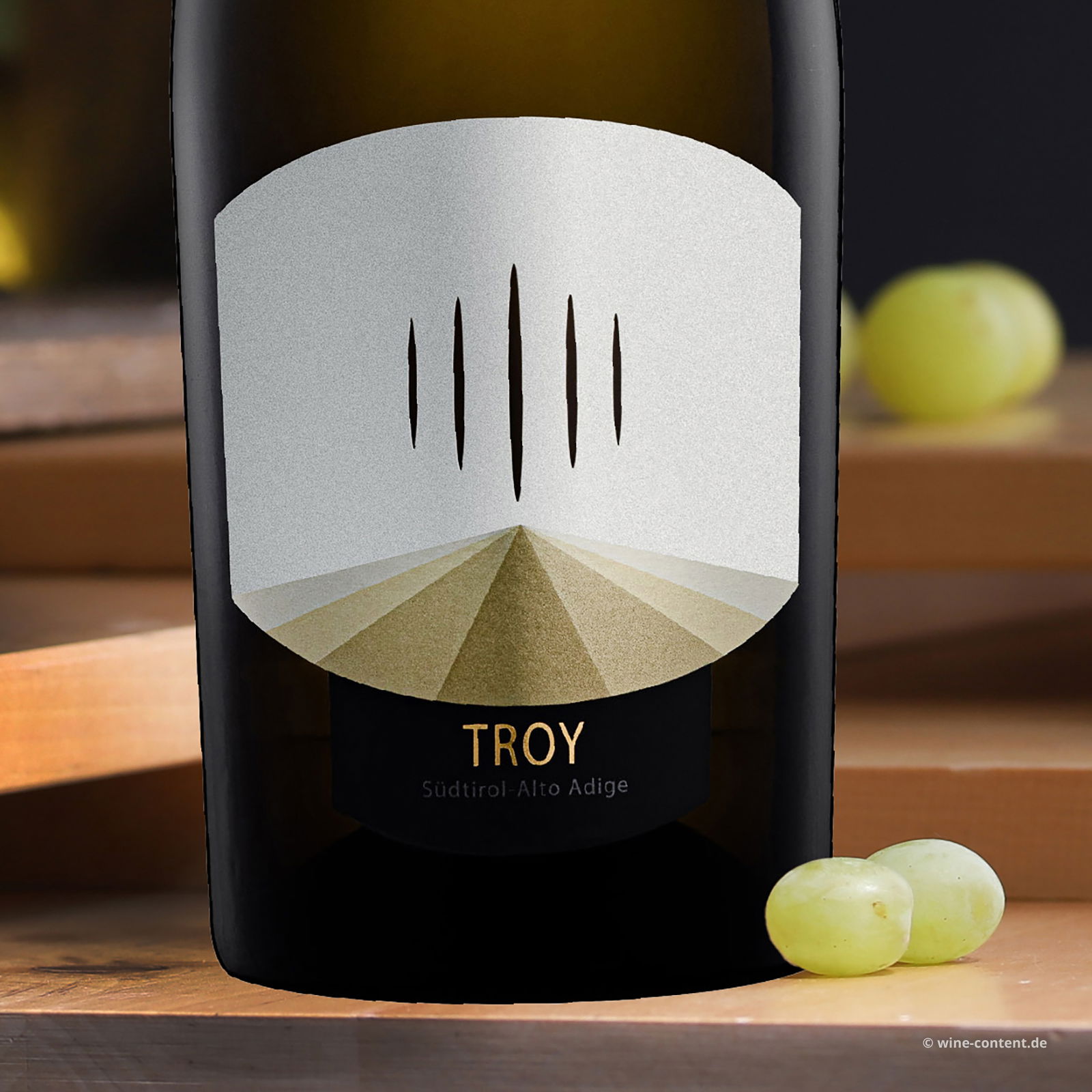 Chardonnay Riserva 2021 Troy