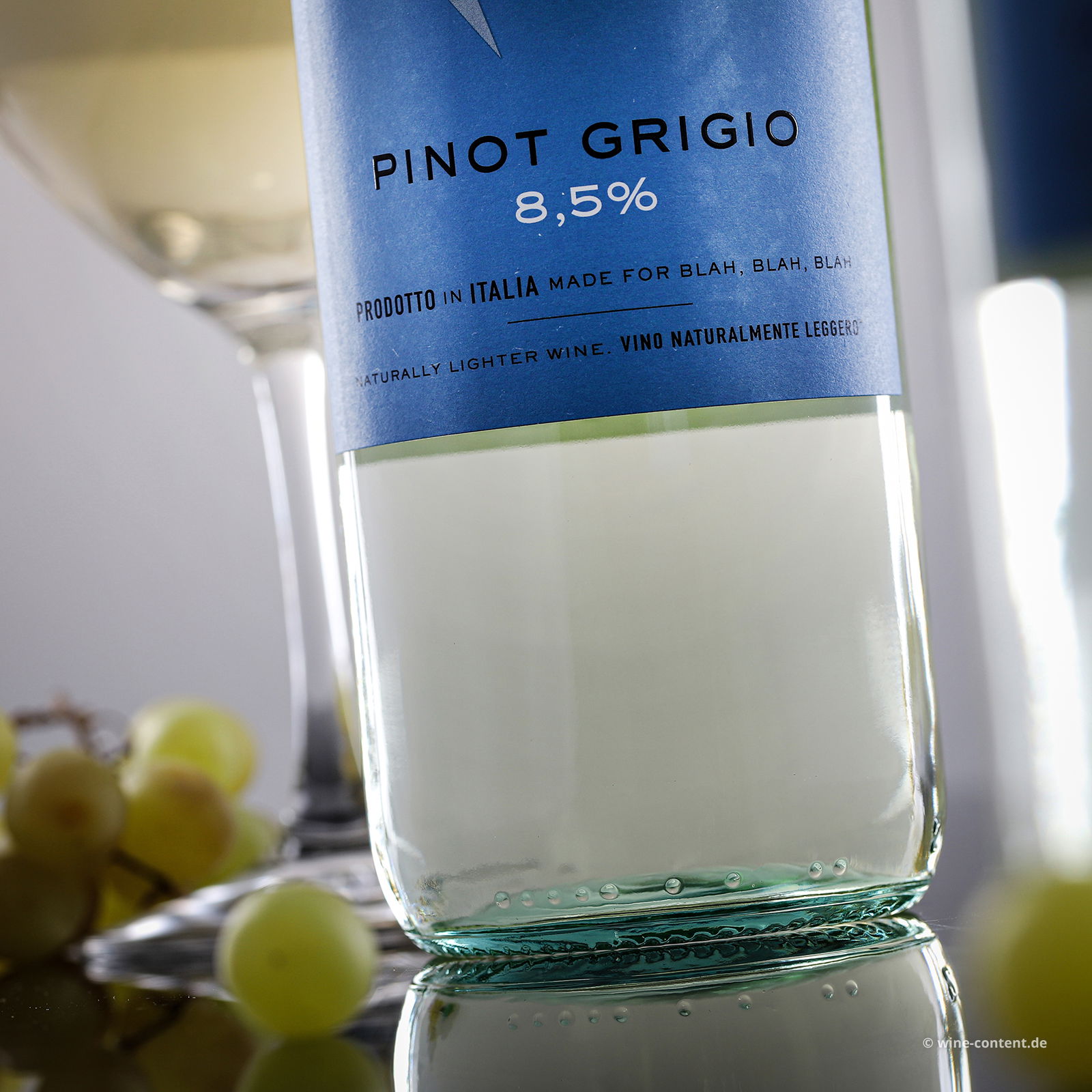 Pinot Grigio 2024 Sip & Talk 8,5%